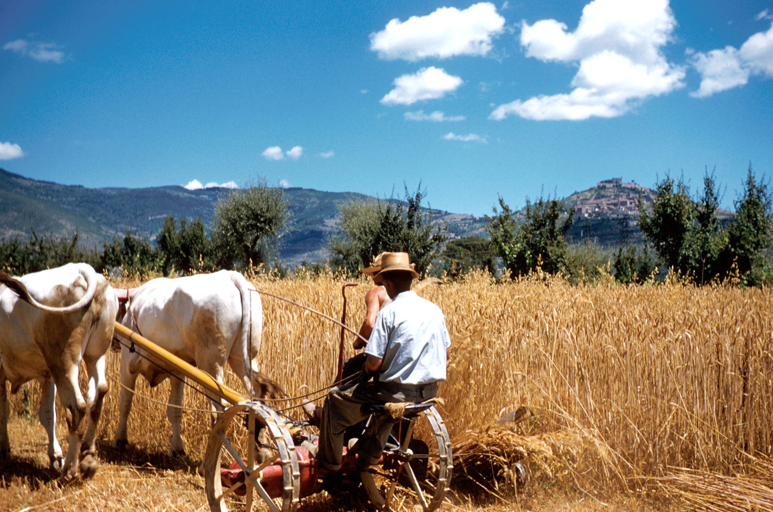 duilio-peruzzi-paesaggio-cortona-anni-settanta