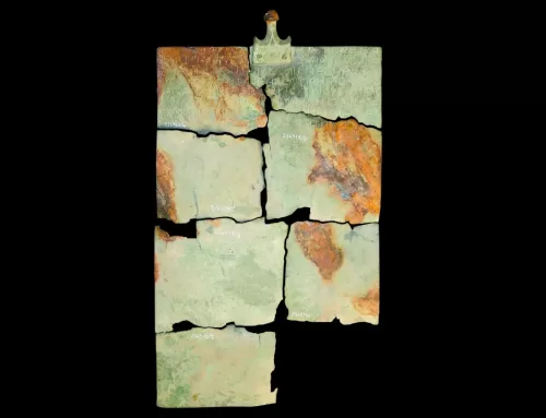 Avremmo potuto non vederla mai