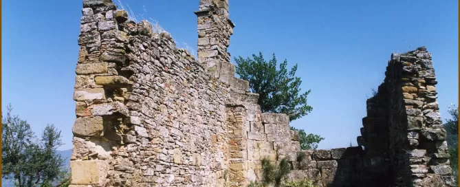 MAEC Cortona itinerari culturali sentiero dei Boschi, rimboschimenti di conifere e latifoglie