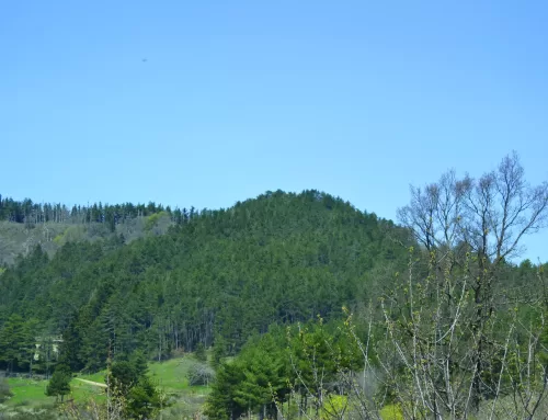 The Sentiero del Castello