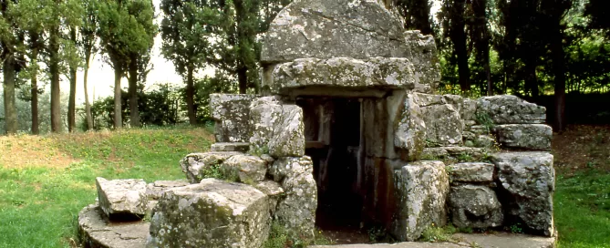 MAEC Cortona itinerari culturali sentiero degli oliveti