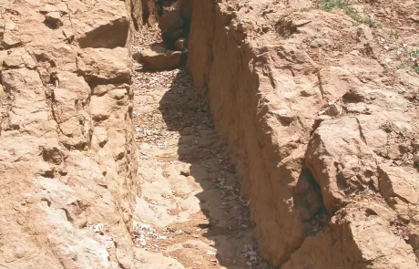 MAEC Parco diffuso la tomba di Mezzavia