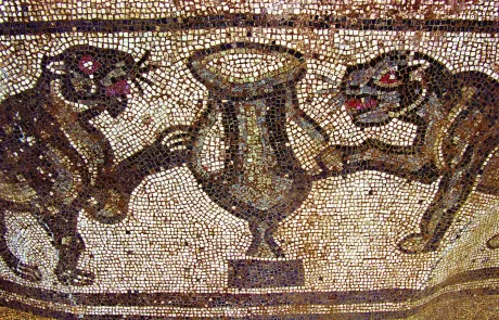 MAEC Parco diffuso La Villa romana di Ossaia