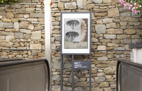 MAEC Cortona mostra Revolve di Eleonora Agostini Cortona ON The Move 2025